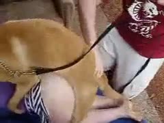 Fuck-hungry English female loves fucking with her brown dog in the park 